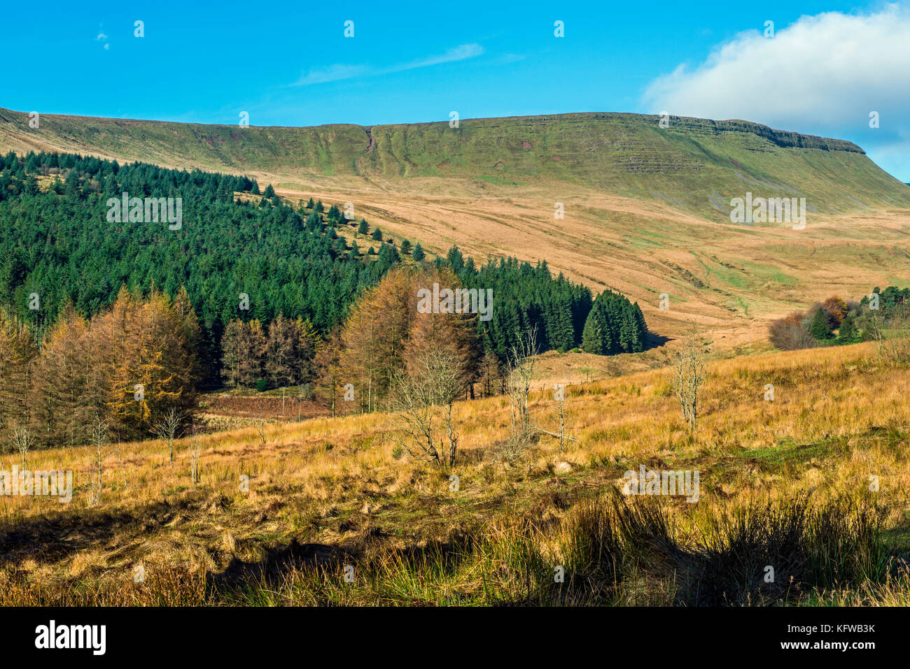 Graig Gwaun Raff in den Central Brecon Beacons Stockfoto