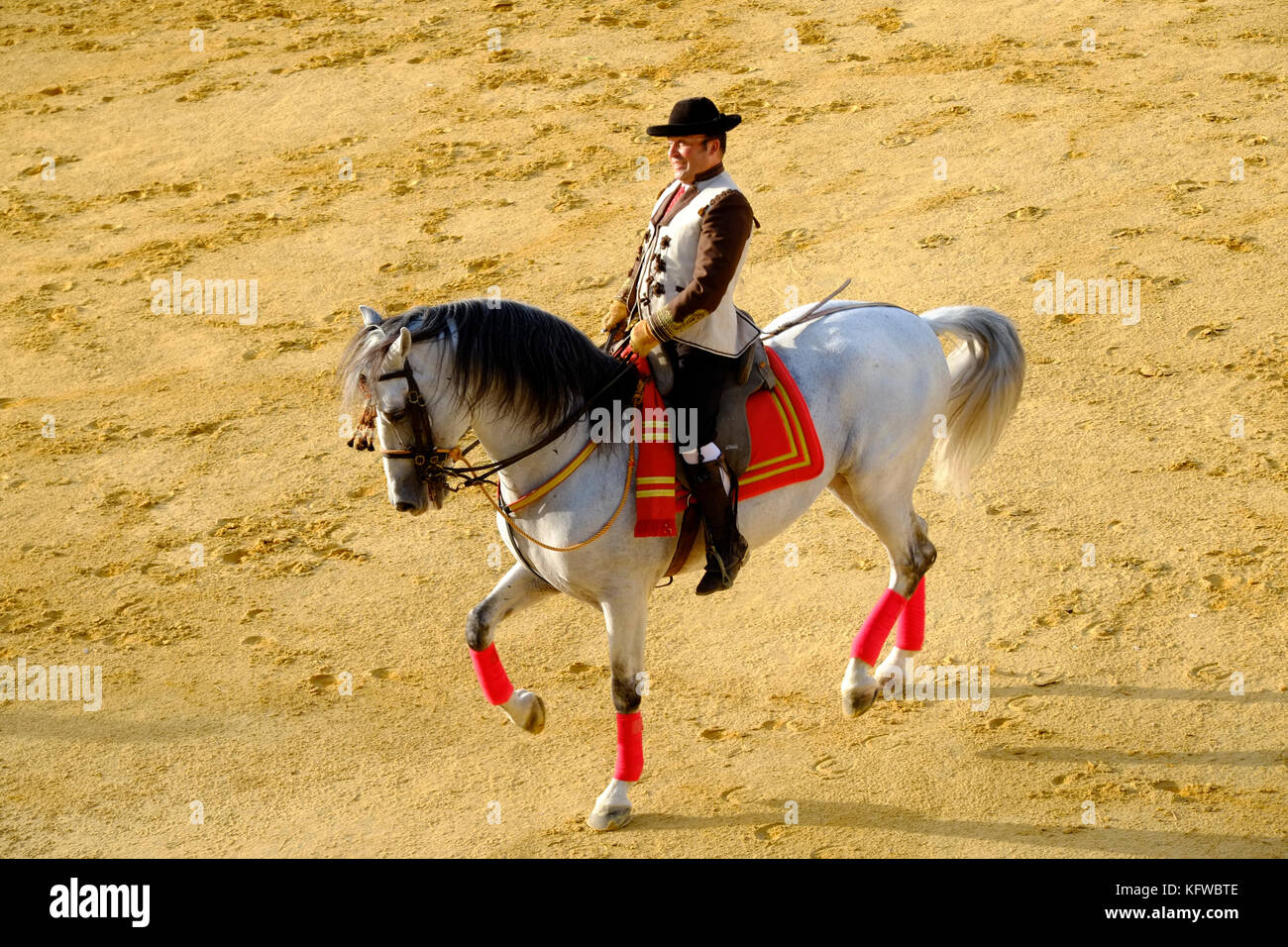 Durchführung andalusischen Tanz Pferd und Reiter. Andalusien, Spanien Stockfoto