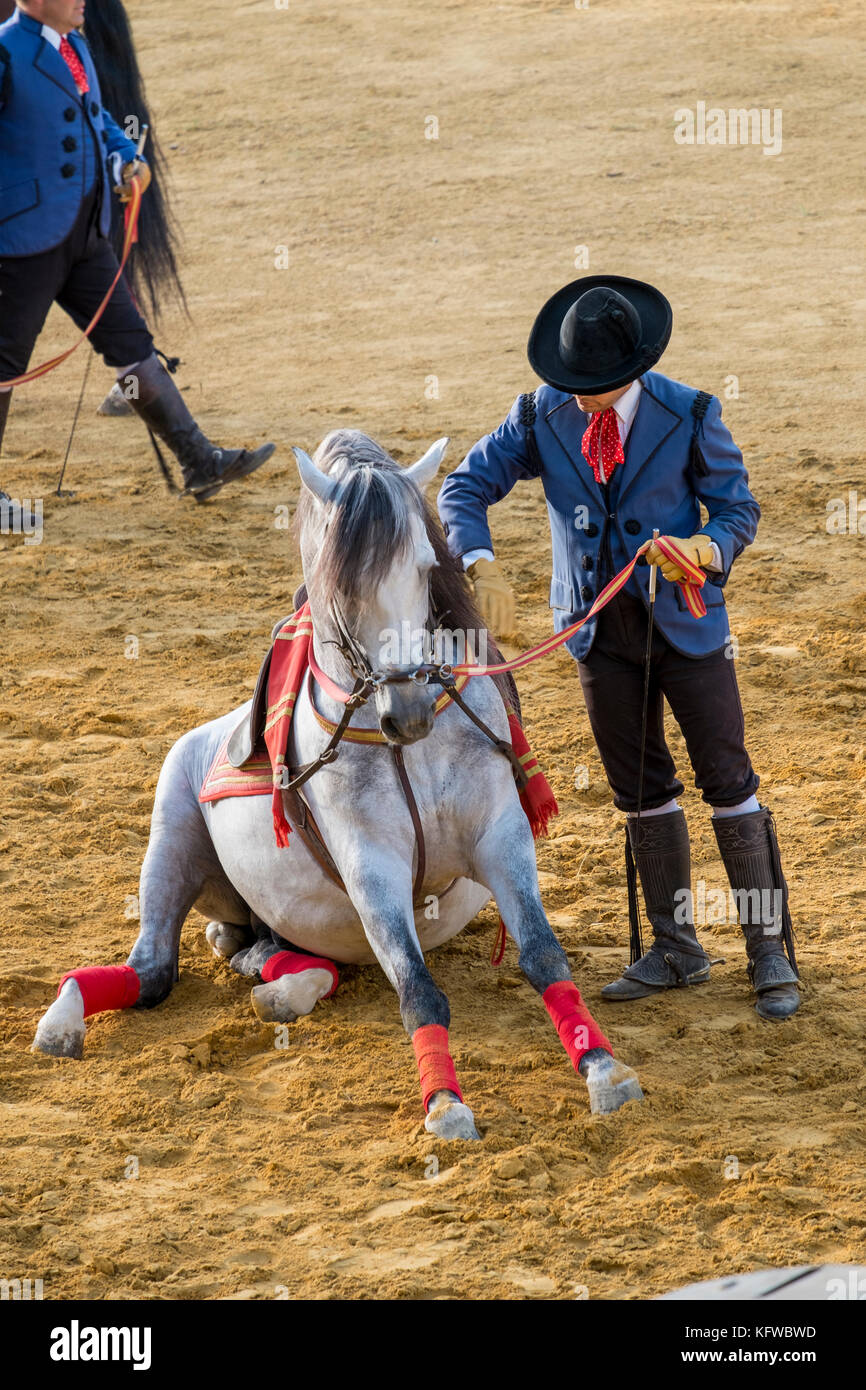 Durchführung andalusischen Tanz Pferd und Reiter. Andalusien, Spanien Stockfoto