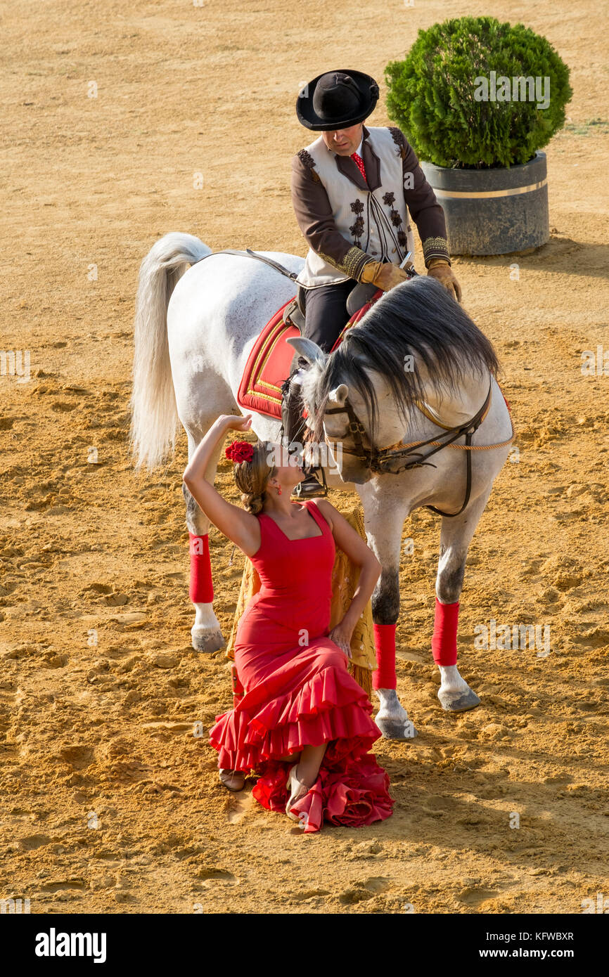 Traditionelle andalusische Aufführung eines tanzenden Pferdes mit Reiter, begleitet von einem Flamenco-Tänzer. Andalusien, Spanien Stockfoto