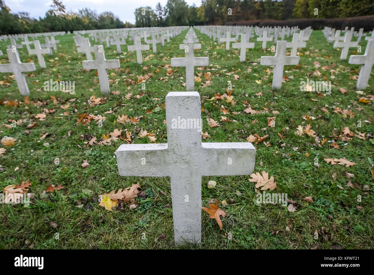 Danzig, Polen. 1. November 2017. Eine allgemeine Ansicht der französischen Soldatenfriedhof in Danzig, Polen wird am 1. November 2017 die Verehrung der verstorbenen französischen Soldaten zahlen anlässlich des Allerheiligen (wszystkich swietych. den Friedhof hält 1152 Gremien, darunter 329, die nicht identifiziert wurden. Unter ihnen gibt es Kriegsgefangene, Widerstandskämpfer oder politischen Deportierten, rekrutiert aus den obligatorischen Arbeit Service, Elsässer mit Gewalt in die deutsche Armee eingeschrieben und Flüchtlinge, die von Gefangenenlagern geflohen waren, und wer mit dem polnischen Widerstand gekämpft. Credit: Michal fludra/ Stockfoto