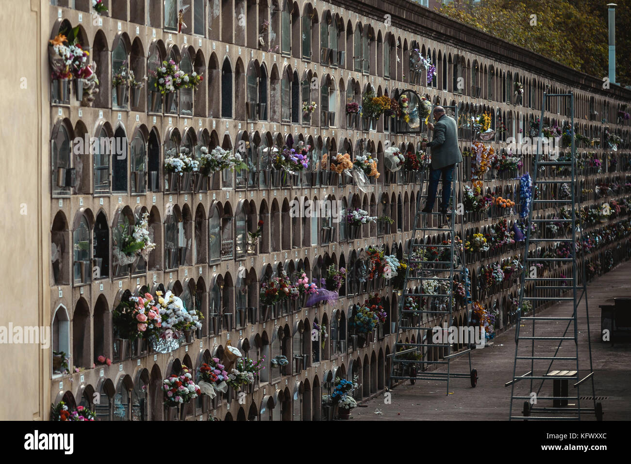 Barcelona, Spanien. November 2017. Ein Mann legt während des Allerheiligsten-Tages Blumen an einem Grab auf Barcelonas Friedhof Poblenou. Quelle: Matthias Oesterle/Alamy Live News Stockfoto