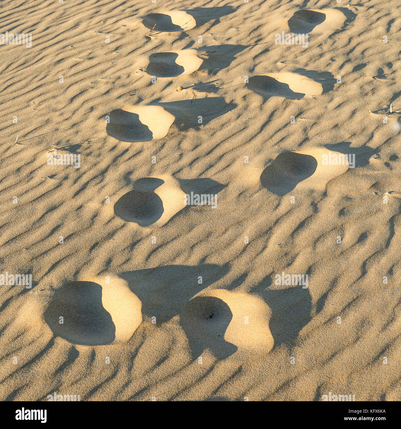 Spur der Fußabdrücke auf den Wellenlinien geharkt in den Sand. Stockfoto