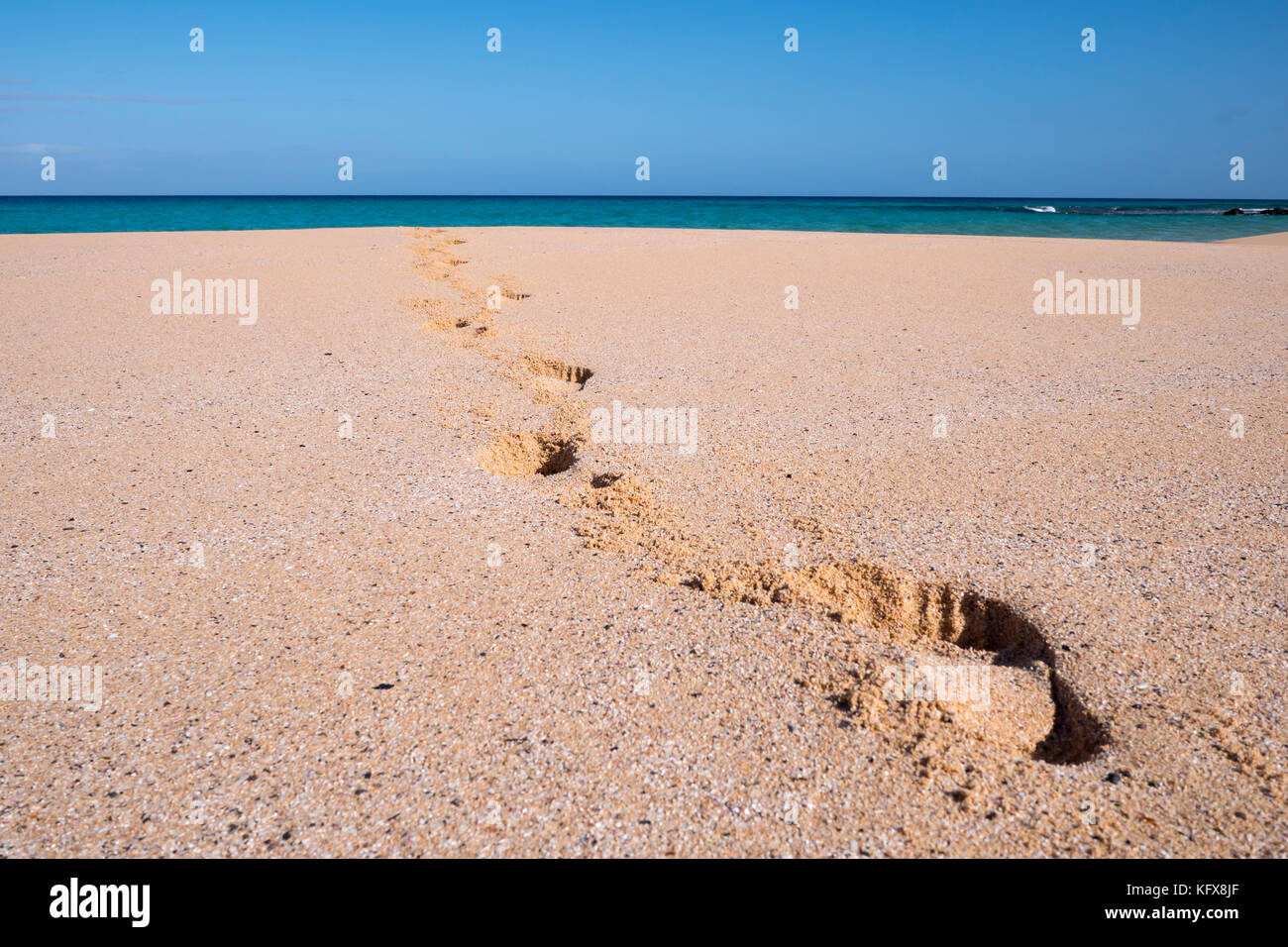 Fußspuren im sand Stockfoto