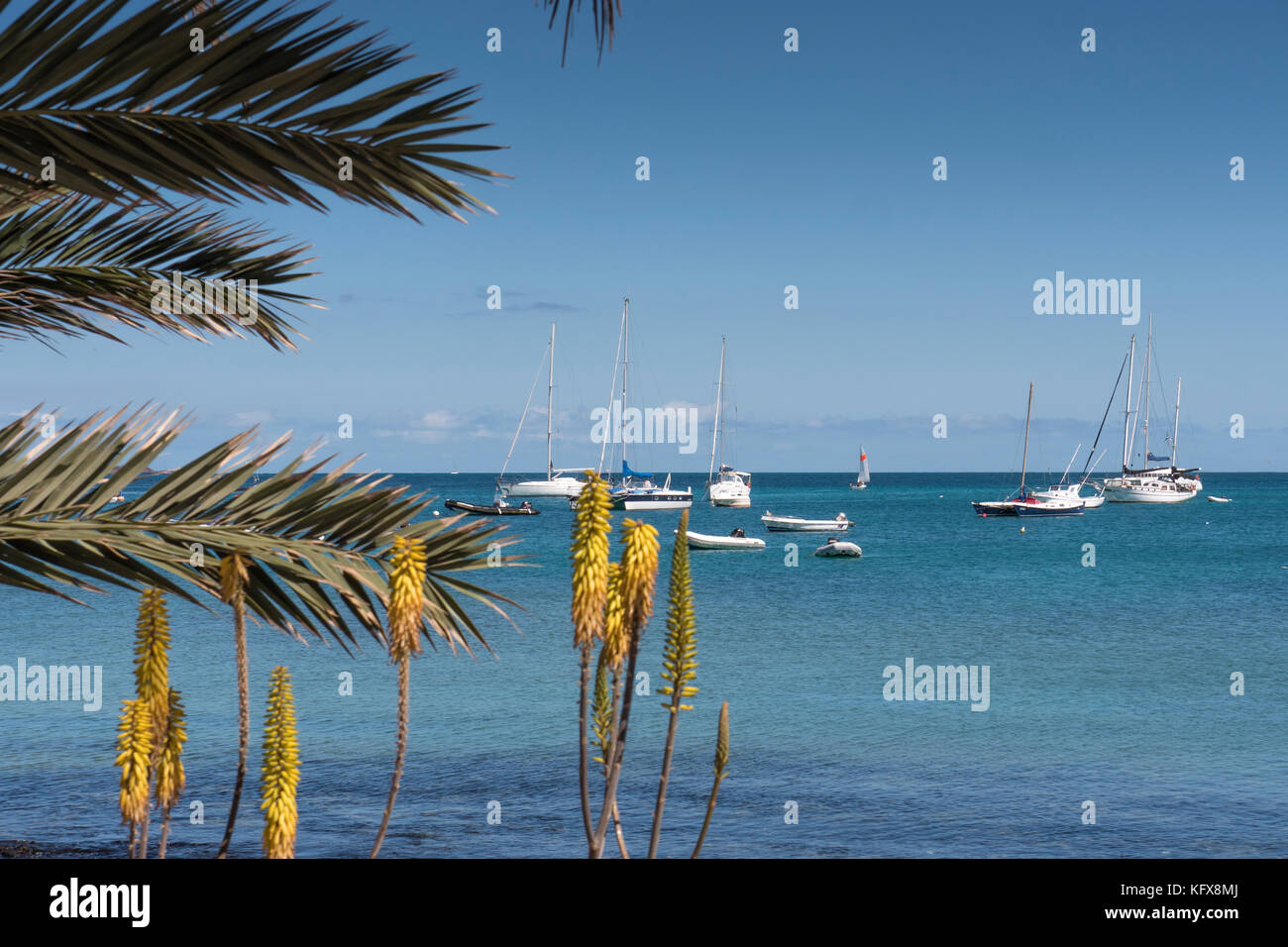 Entlang der Promenade am Hafen Corralejo La Oliva Fuerteventura Kanarische Inseln Spanien Stockfoto