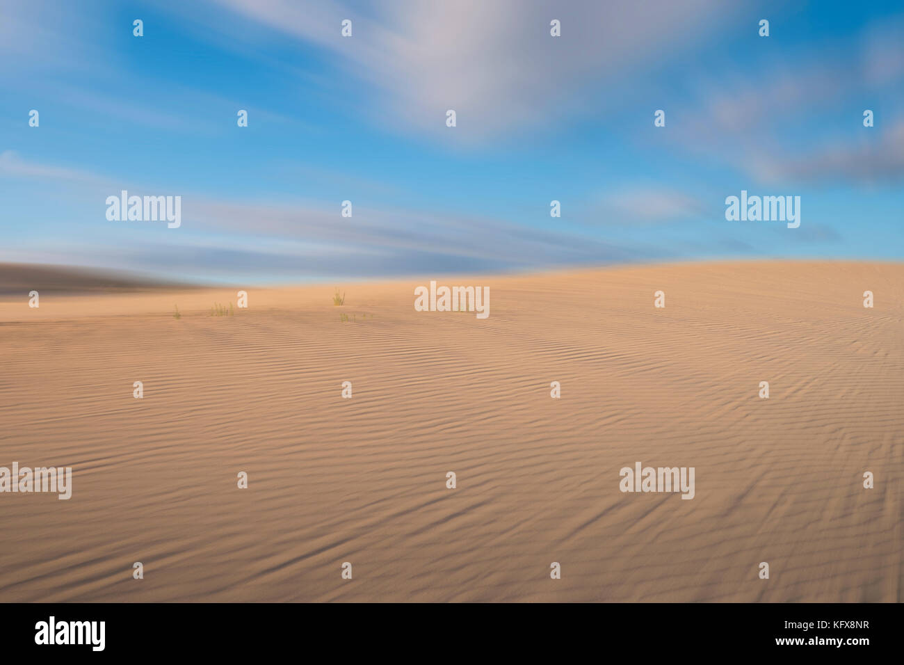 Parque Natural de Corralejo Sand Dunes Corralejo La Oliva Fuerteventura Kanarische Inseln Spanien Stockfoto