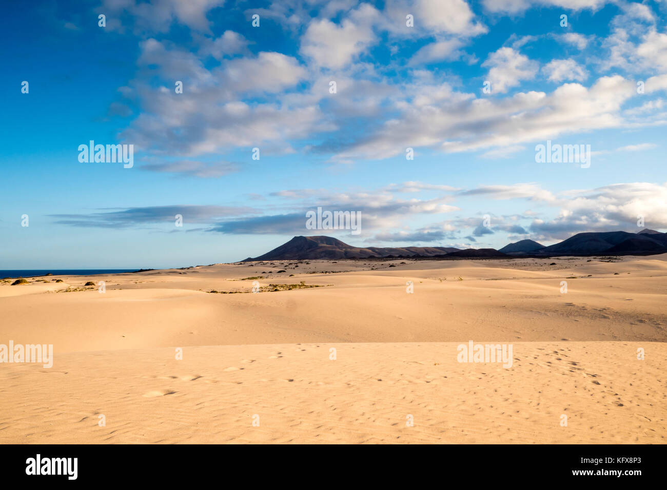 Parque Natural de Corralejo Sand Dunes Corralejo La Oliva Fuerteventura Kanarische Inseln Spanien Stockfoto