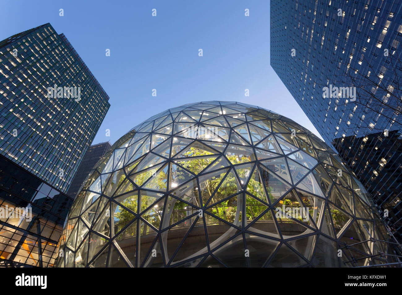 Seattle, Washington: Der amazon Sphären im Bau an der Amazon urban Campus im belltown Nachbarschaft. Die geodätischen Strukturen, die Wil Stockfoto