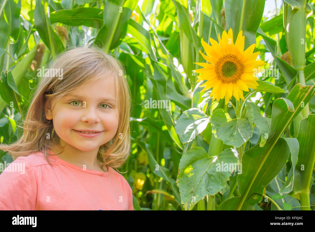 Junge Mädchen im Sonnenblumenfeld Stockfoto