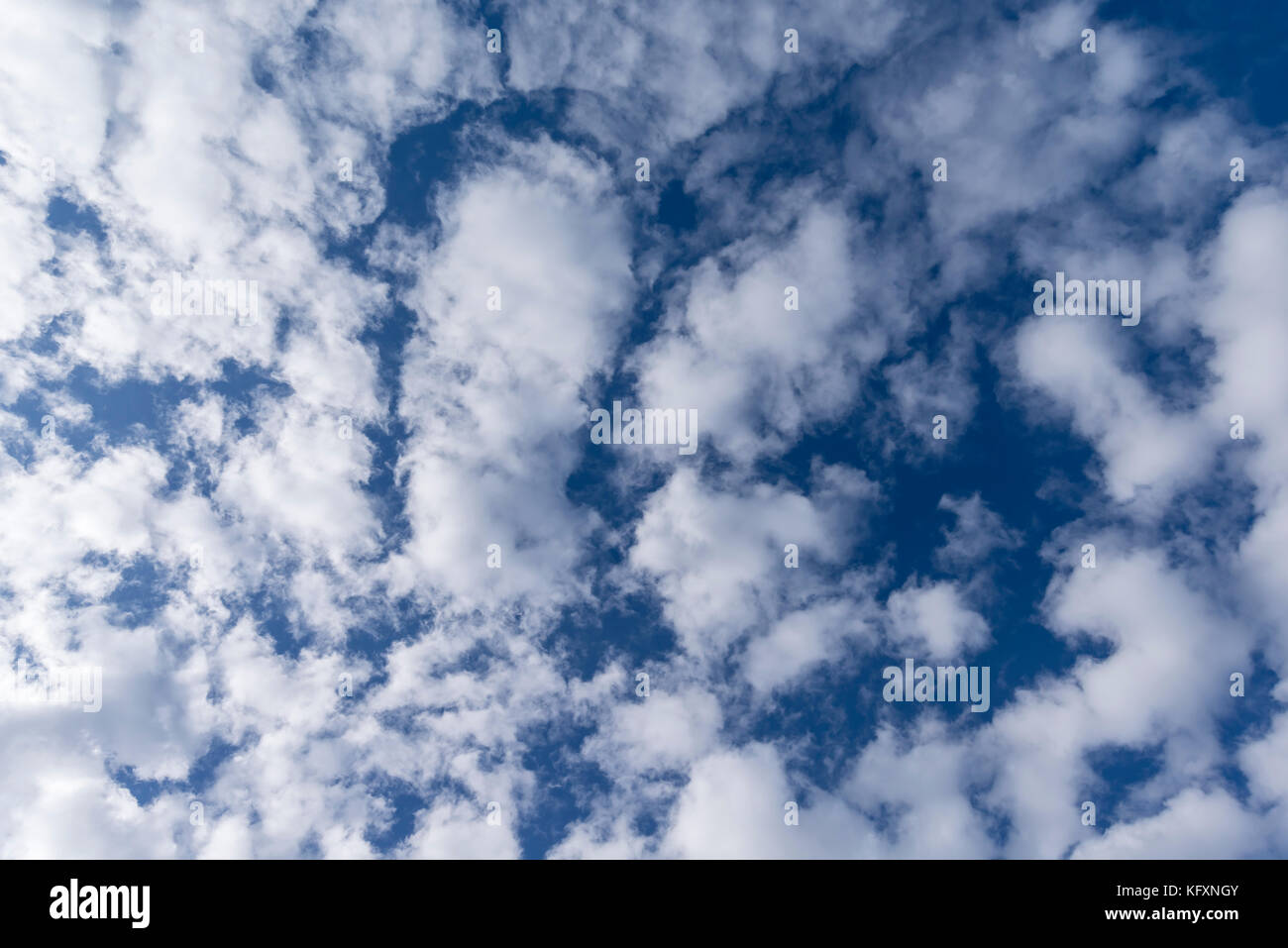 Stratocumulus Wolken, Bayern, Deutschland Stockfoto