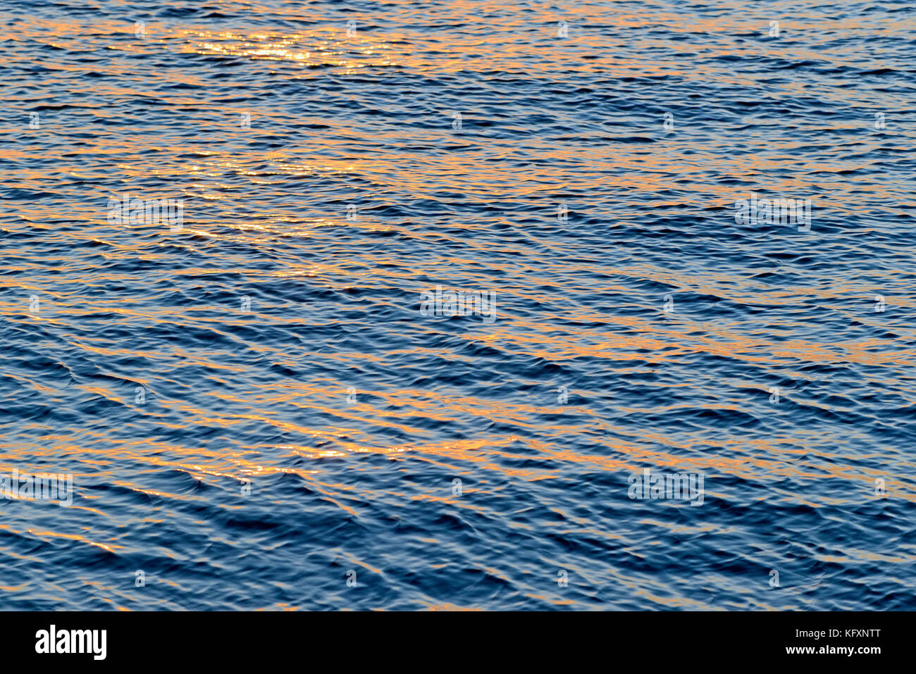 Wellen, Meer Oberfläche an der Abendsonne, Nordsee, Niedersachsen, Deutschland Stockfoto