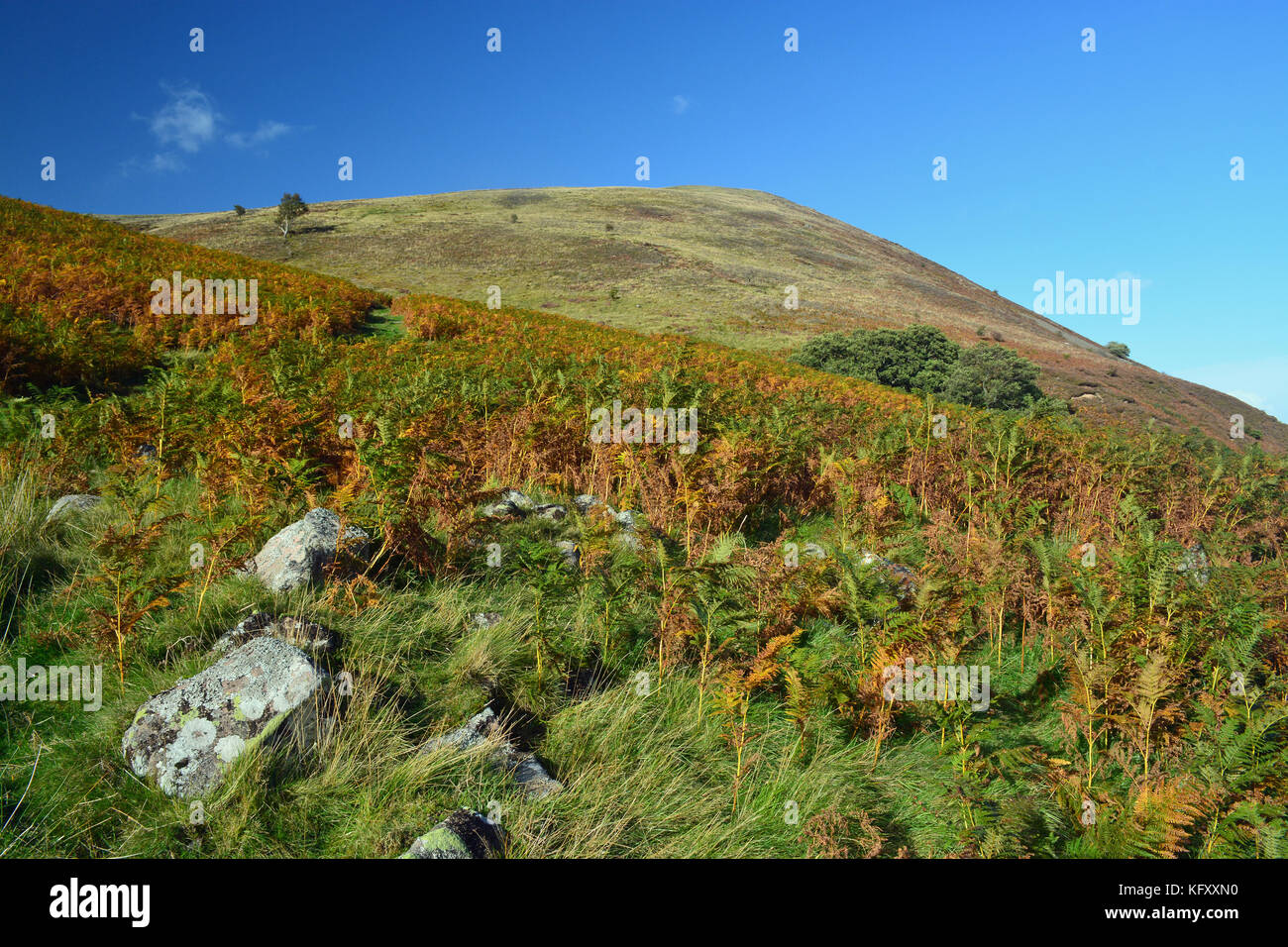 Harthope Tal, northumberland Stockfoto