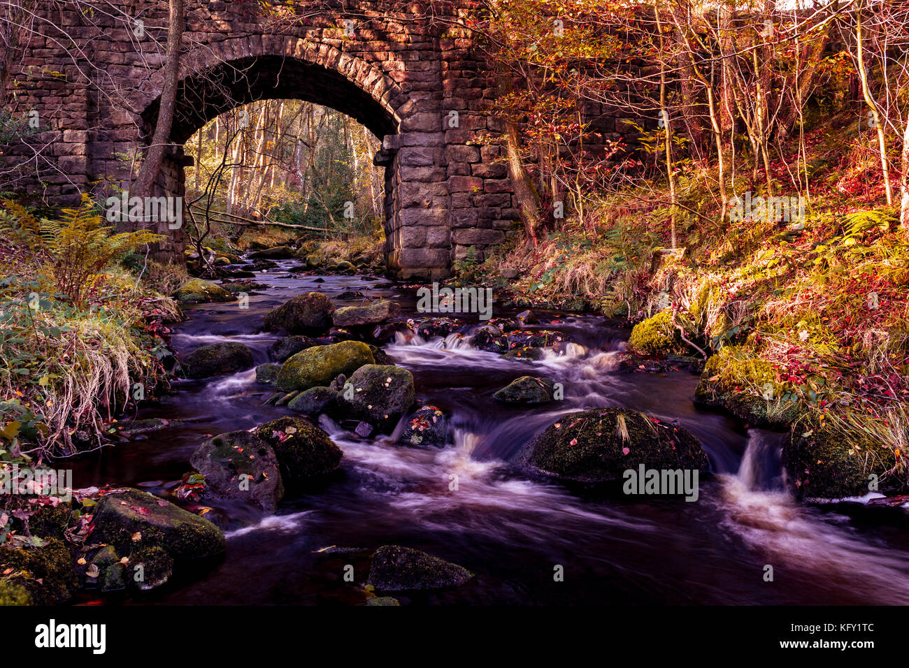 Brücke an Agden Bog Nature Reserve Stockfoto