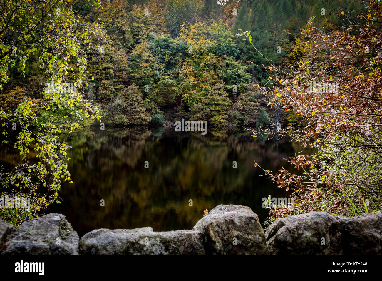 Brücke über den Fluss laufen in Agden Bog Stockfoto