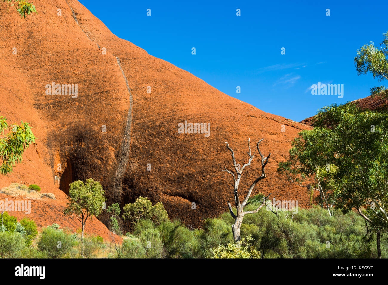 Die Olgas (Kata Tjuta), Uluru-Kata Tjuta National Park, UNESCO-Weltkulturerbe, Northern Territory, Australien Stockfoto