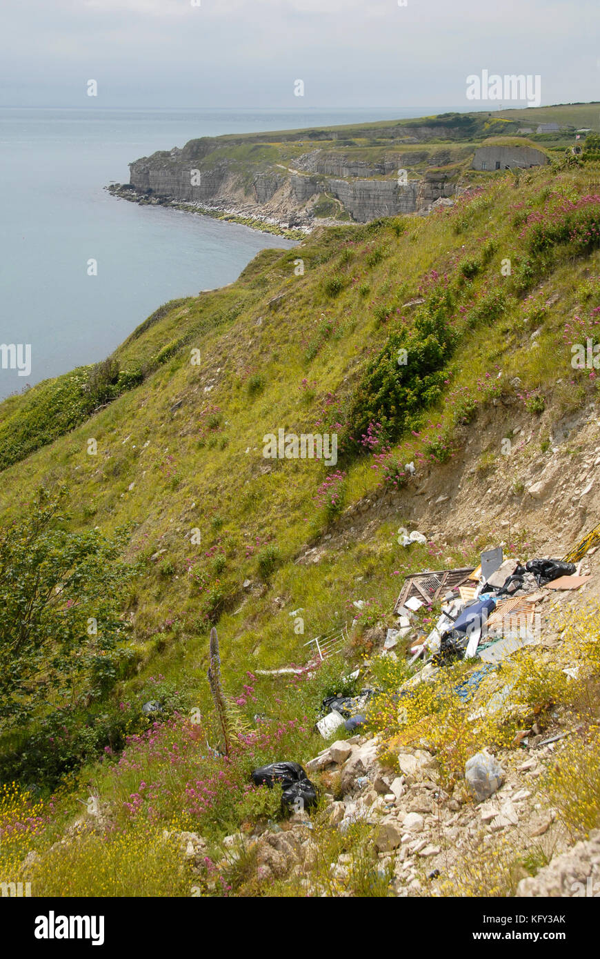 Müll wurde im Dorset Beauty Spot abgeschlagen Stockfoto