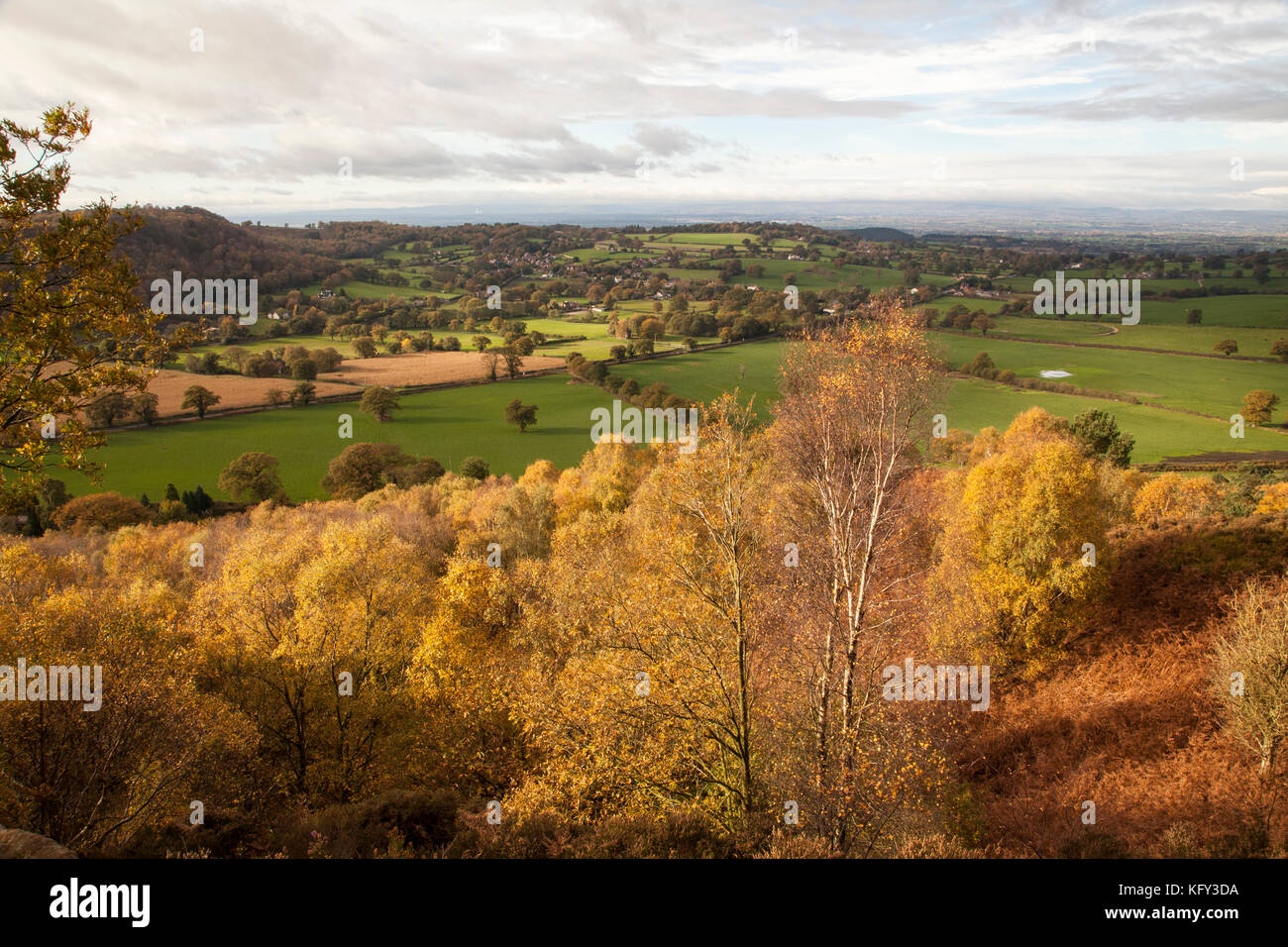 Herbst Blick entlang der Bickerton Hügel Abschnitt aus Sandstein Trail, der zwischen Whitchurch in Shropshire und Frodsham in Cheshire Stockfoto