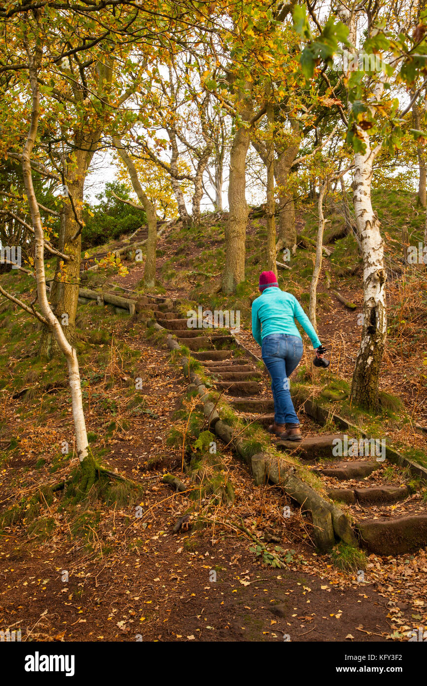 Frau Wandern im Herbst entlang der Bickerton Hügel Abschnitt aus Sandstein Trail, der zwischen Whitchurch in Shropshire und Frodsham in Cheshire Stockfoto