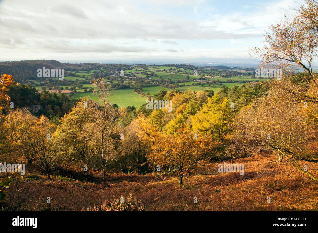 Herbst Blick entlang der Bickerton Hügel Abschnitt aus Sandstein Trail, der zwischen Whitchurch in Shropshire und Frodsham in Cheshire Stockfoto