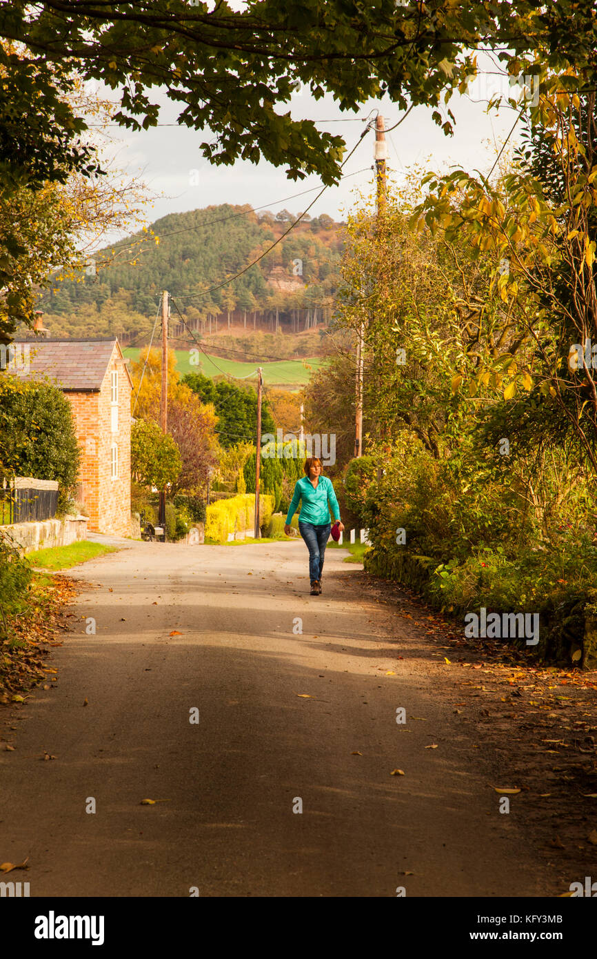 Frau zu Fuß durch die Landschaft von Cheshire im Dorf Braun wissen in der Nähe von bickerton Hügel im Herbst Stockfoto