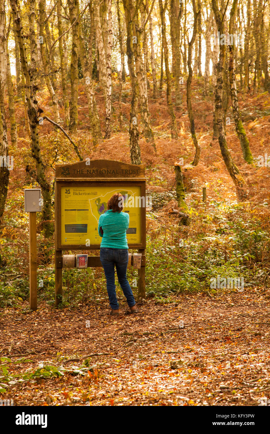 Frau liest Aushang beim Gehen im Herbst auf der nationalen Vertrauensstellungen Bickerton Hills Trail in Cheshire Stockfoto