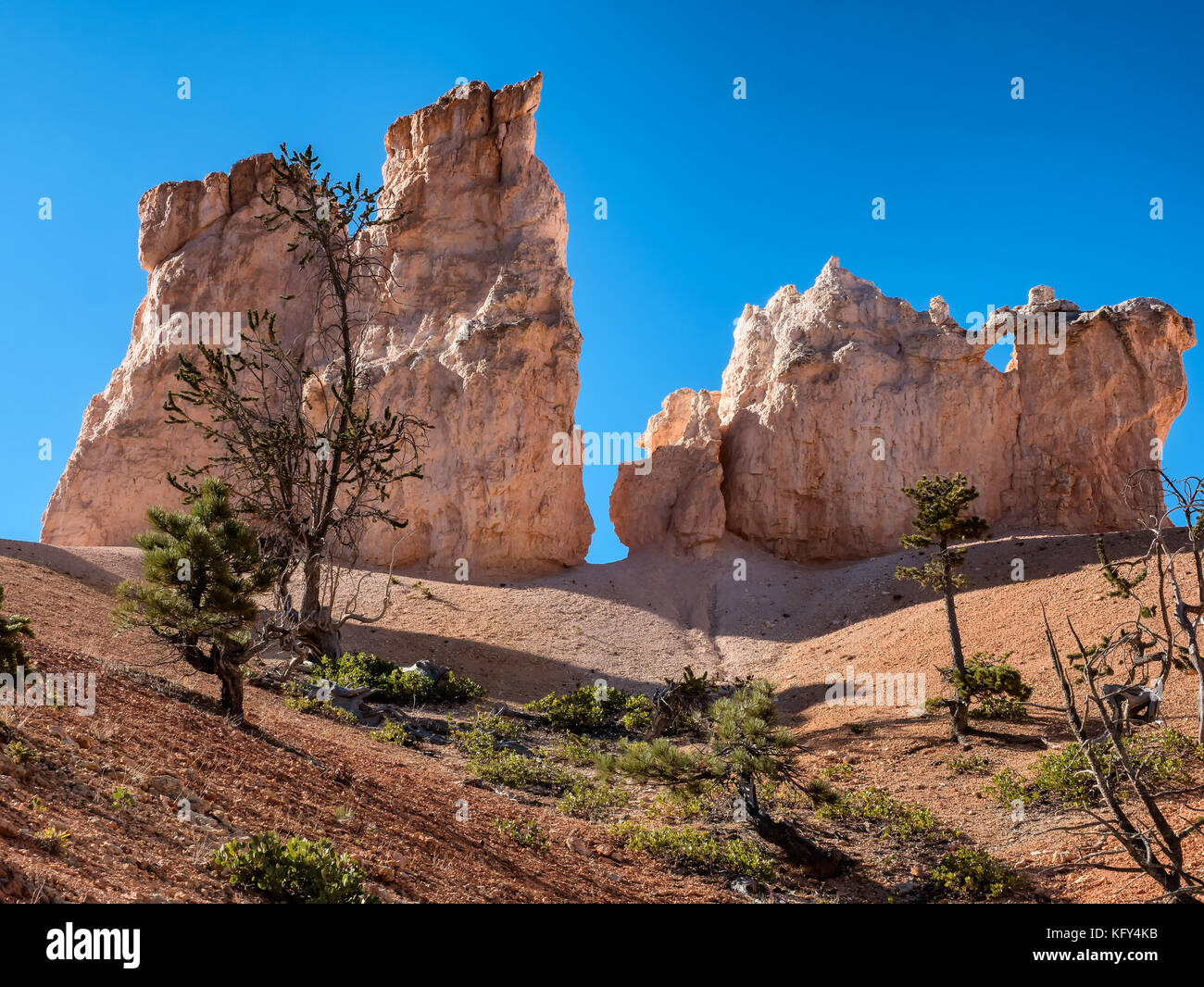 Bryce Canyon hoodoos Peek-a-boo Trail, Utah USA Stockfoto