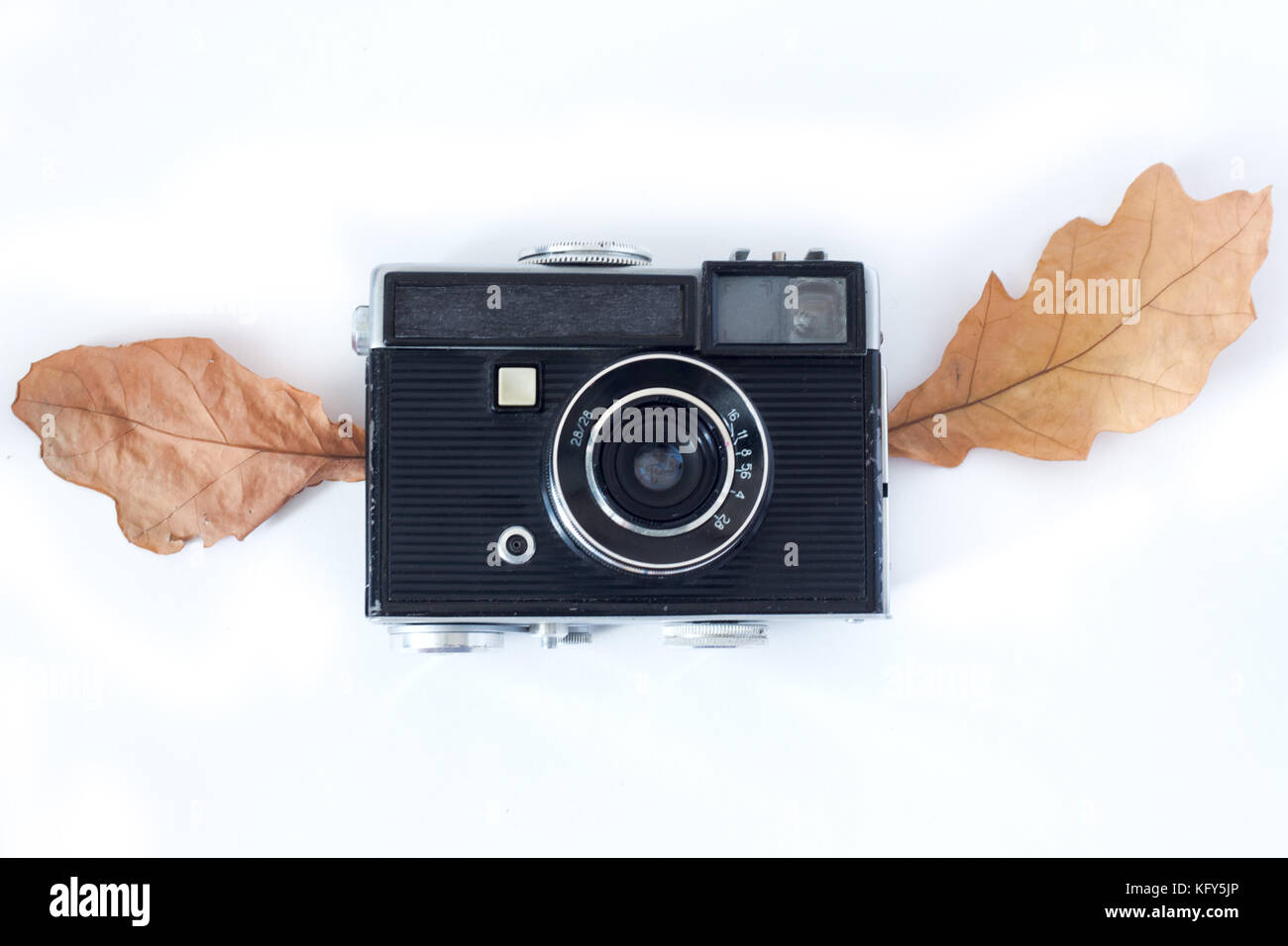 Vintage analog Foto Kamera in trockenen Ahorn Blätter als natürlichen Hintergrund, Ansicht von oben Stockfoto