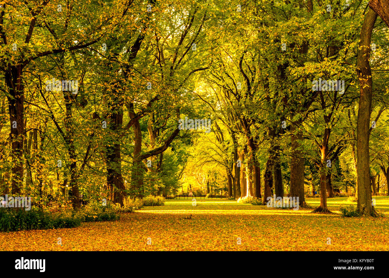 Goldener Herbst Landschaft mit Laub auf den Vordergrund im Central Park, New York Stockfoto