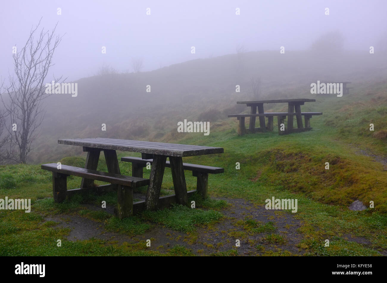 Misty Picknick Bänke in der Mitte von Wales. Stockfoto