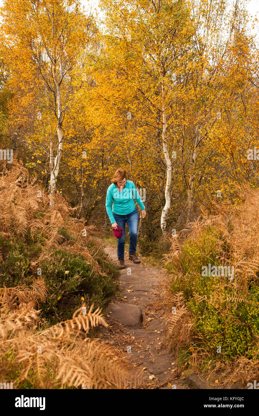 Frau Wandern im Herbst entlang der Bickerton Hügel Abschnitt aus Sandstein Trail, der zwischen Whitchurch in Shropshire und Frodsham in Cheshire Stockfoto