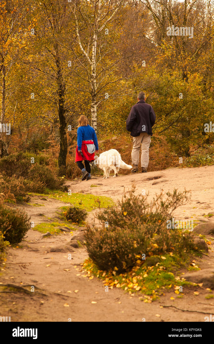 Der Mann und die Frau mit einem Hund gehen die Bickerton Hügel Abschnitt aus Sandstein Trail, der zwischen Whitchurch in Shropshire und Frodsham in Cheshire Stockfoto