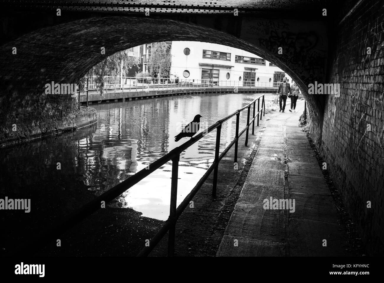 Silhouette einer Taube, die auf einer Metallschiene unter einer Brücke neben dem Regents-Kanal steht, Camden, London, Großbritannien Stockfoto