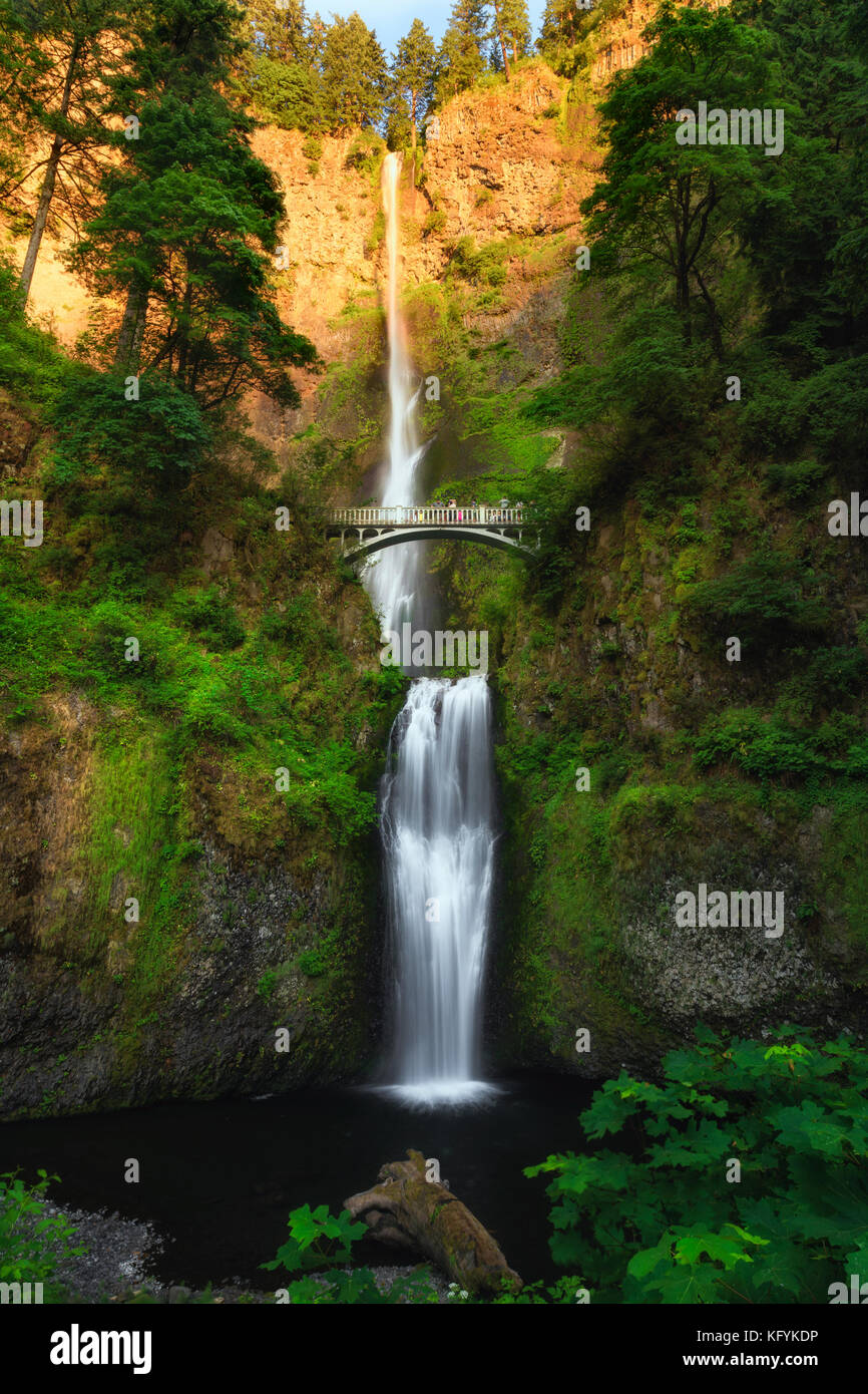 Multnomah Falls im Juli, Oregon. Hohe und schöne Wasserfälle. Einer der berühmtesten Wasserfallen in den USA. Stockfoto