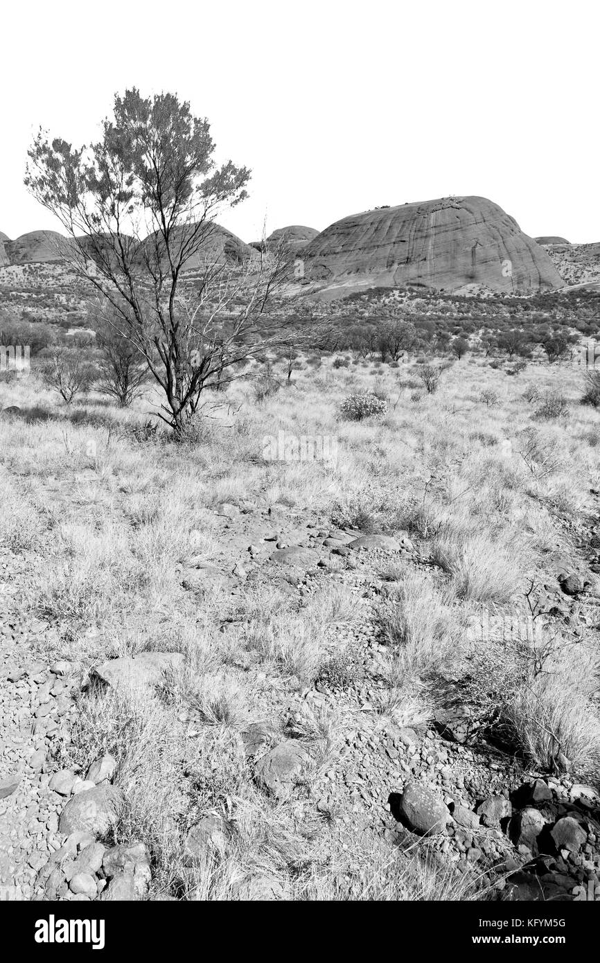 In Australien das Outback Canyon und in der Nähe von Mountain in der Natur Stockfoto