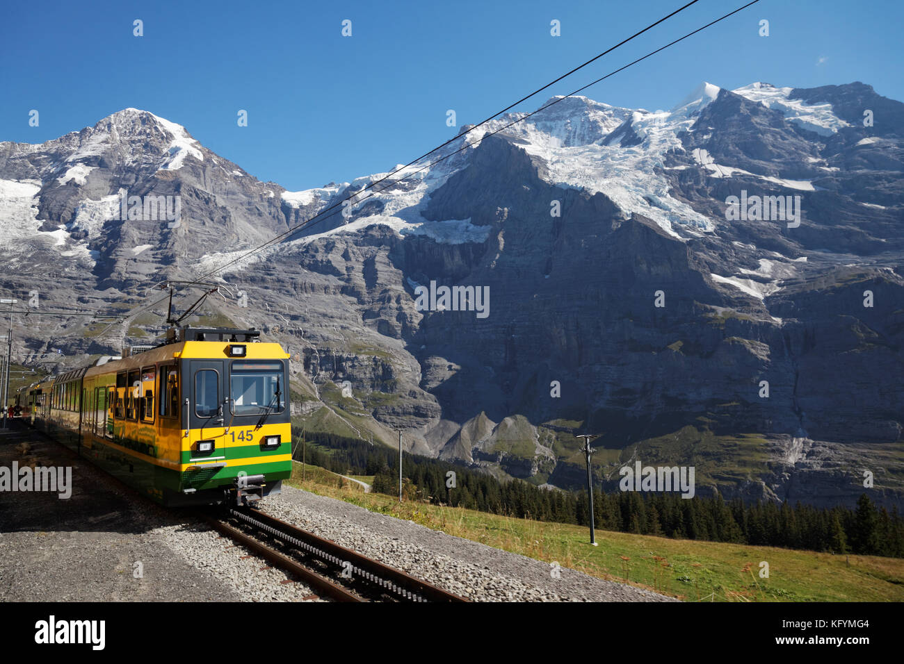 Ein Zug der Wengernalp-Bahn fährt unter der Jungfrau und den Bergen des Berner Oberlands in der Schweiz Stockfoto