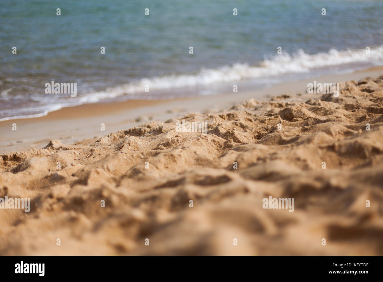 Sand selektiv konzentriert am Strand Stockfoto