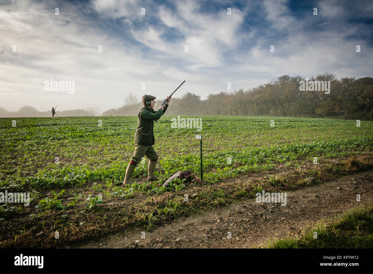 Gentleman, das Gewehr auf Fasan schießen auf einem nebligen Morgen, Hampshire, England. Stockfoto