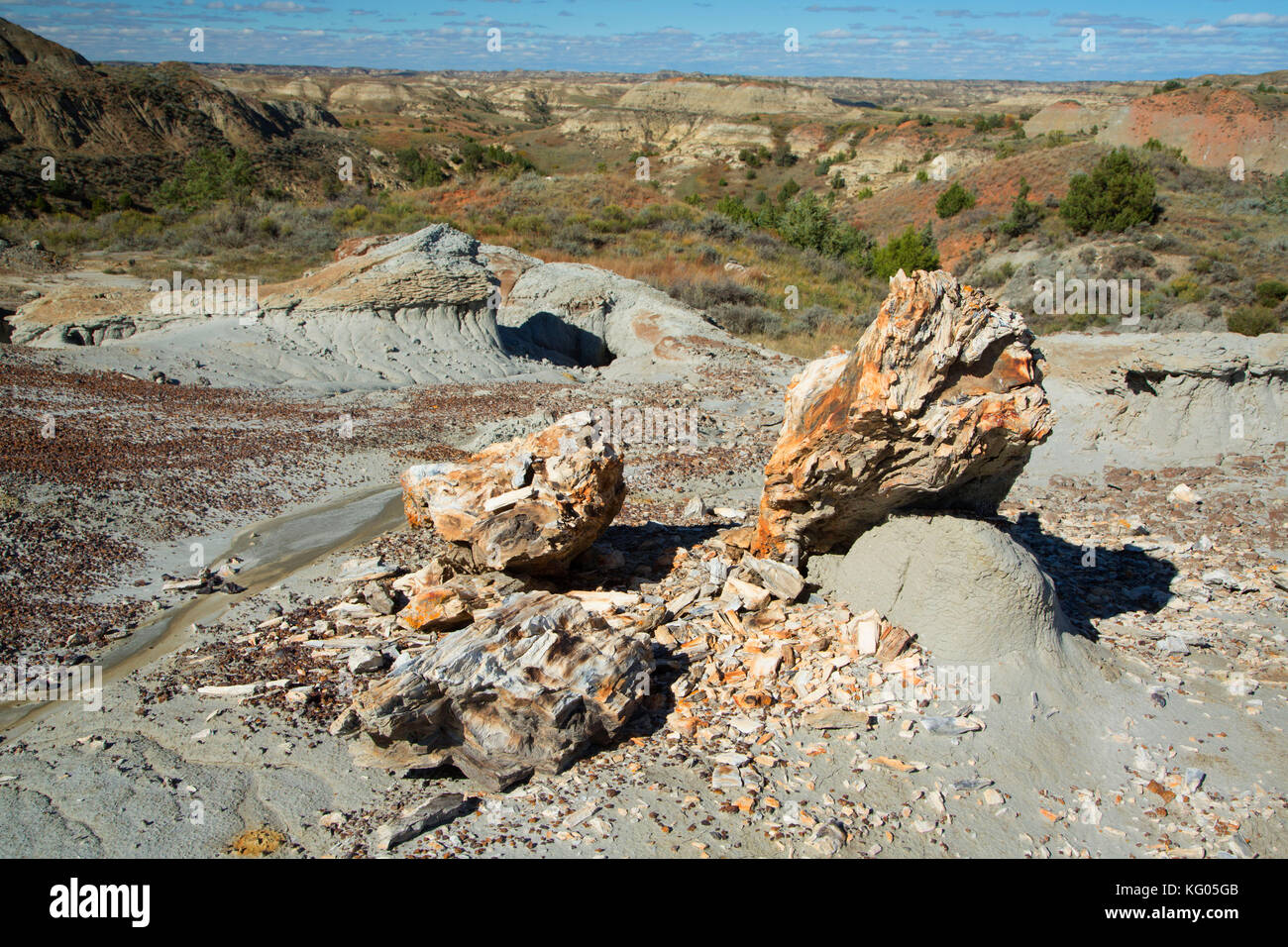 Versteinertes Holz entlang der Versteinerte Wald Trail, Theodore Roosevelt National Park-South Einheit, North Dakota Stockfoto