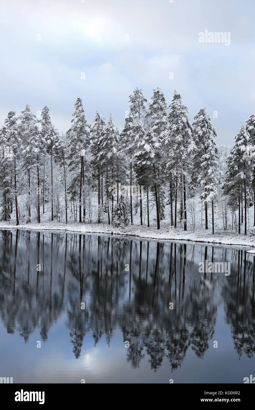 Eine klare Wald See Spiegelungen der umliegenden schneebedeckten Bäumen an einem kalten Wintertag in Finnland. Stockfoto