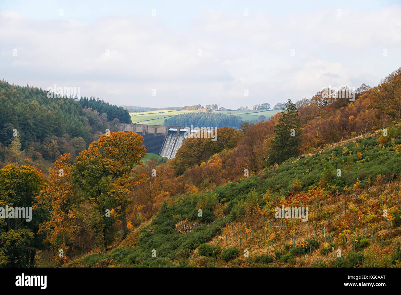 Thruscross Stausee Dam im Washburn Valley mit Blick auf das Tal und die Farben des Herbstes Stockfoto