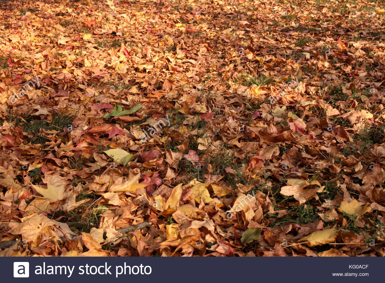 Totenbett Stockfotos & Totenbett Bilder - Alamy