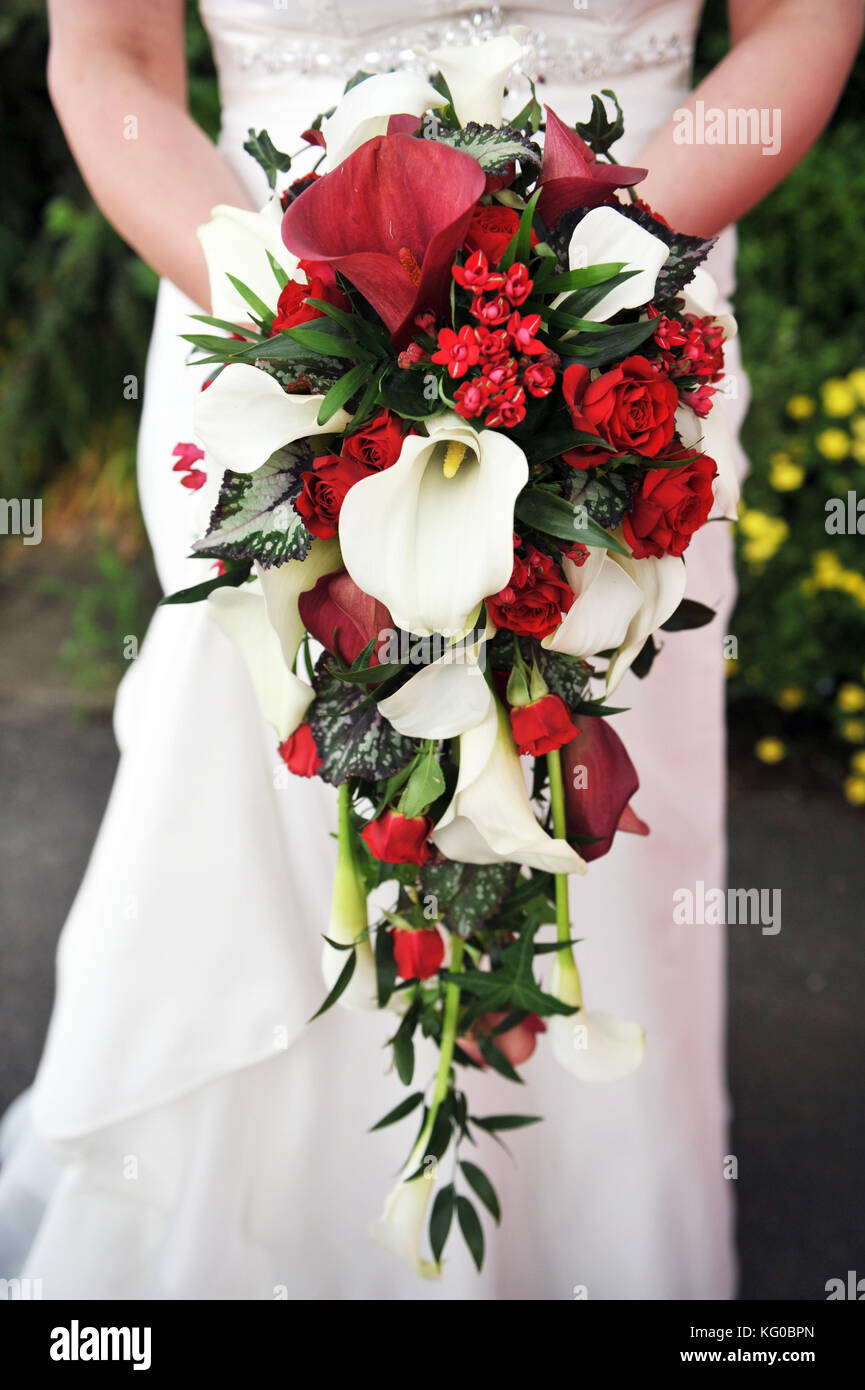 Brautstrauß mit roten und weißen Blumen von der Braut statt Stockfoto
