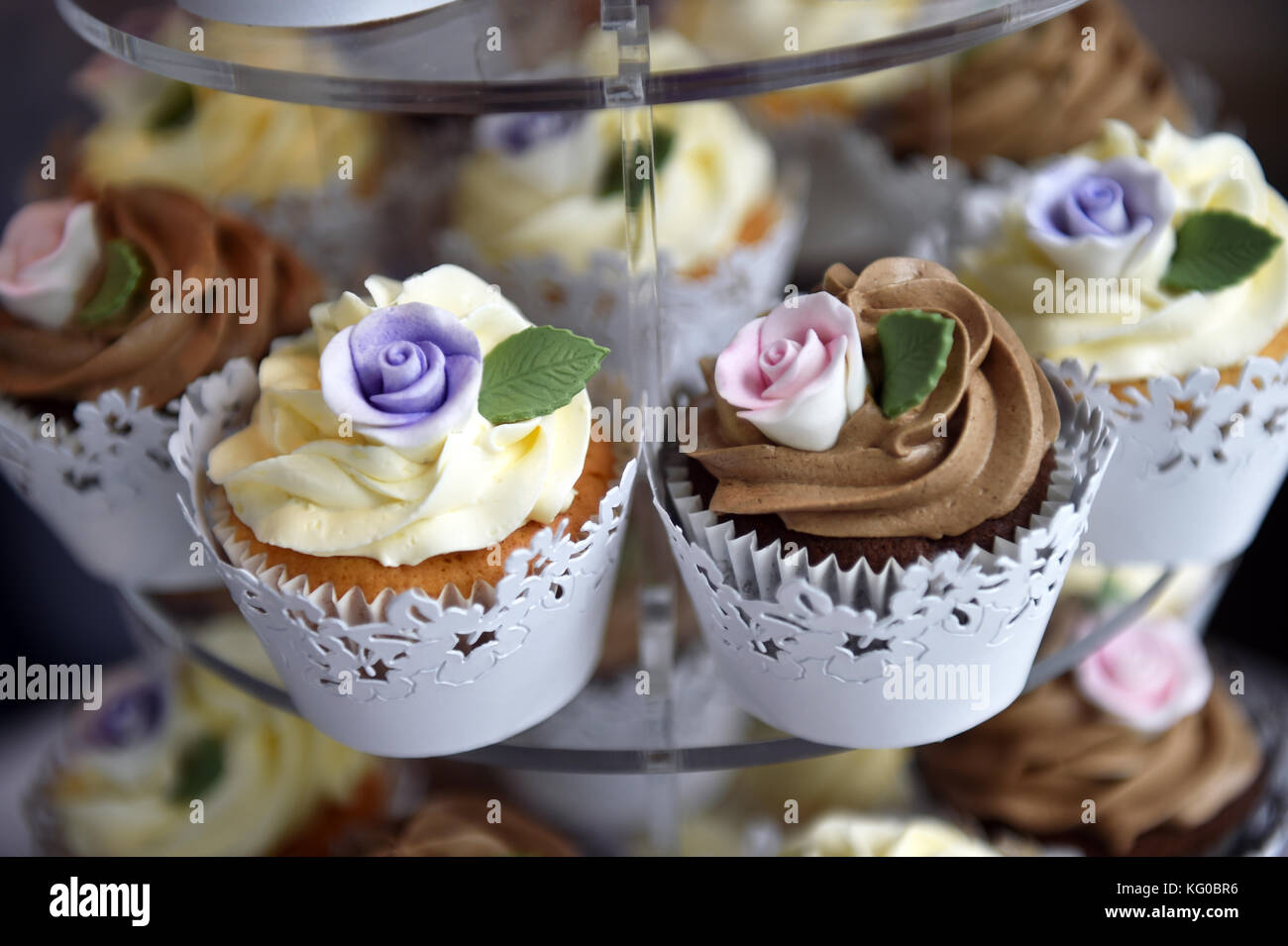 Vanille und Schoko Cupcakes auf Anzeige an eine Hochzeit Stockfoto