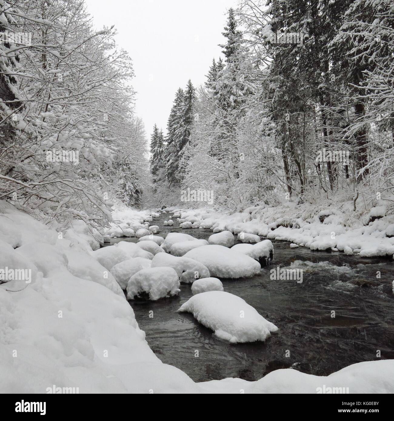 Saane, Fluss in den Schweizer Alpen an einem Wintertag. Stockfoto