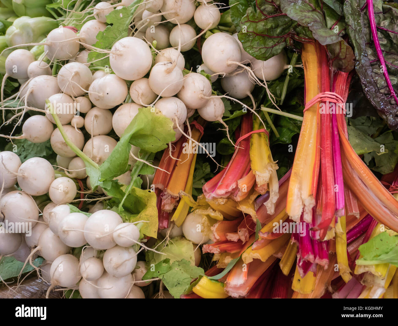 Bunte frisches Gemüse auf dem Markt mit weißen Rettiche und Mangold Stockfoto