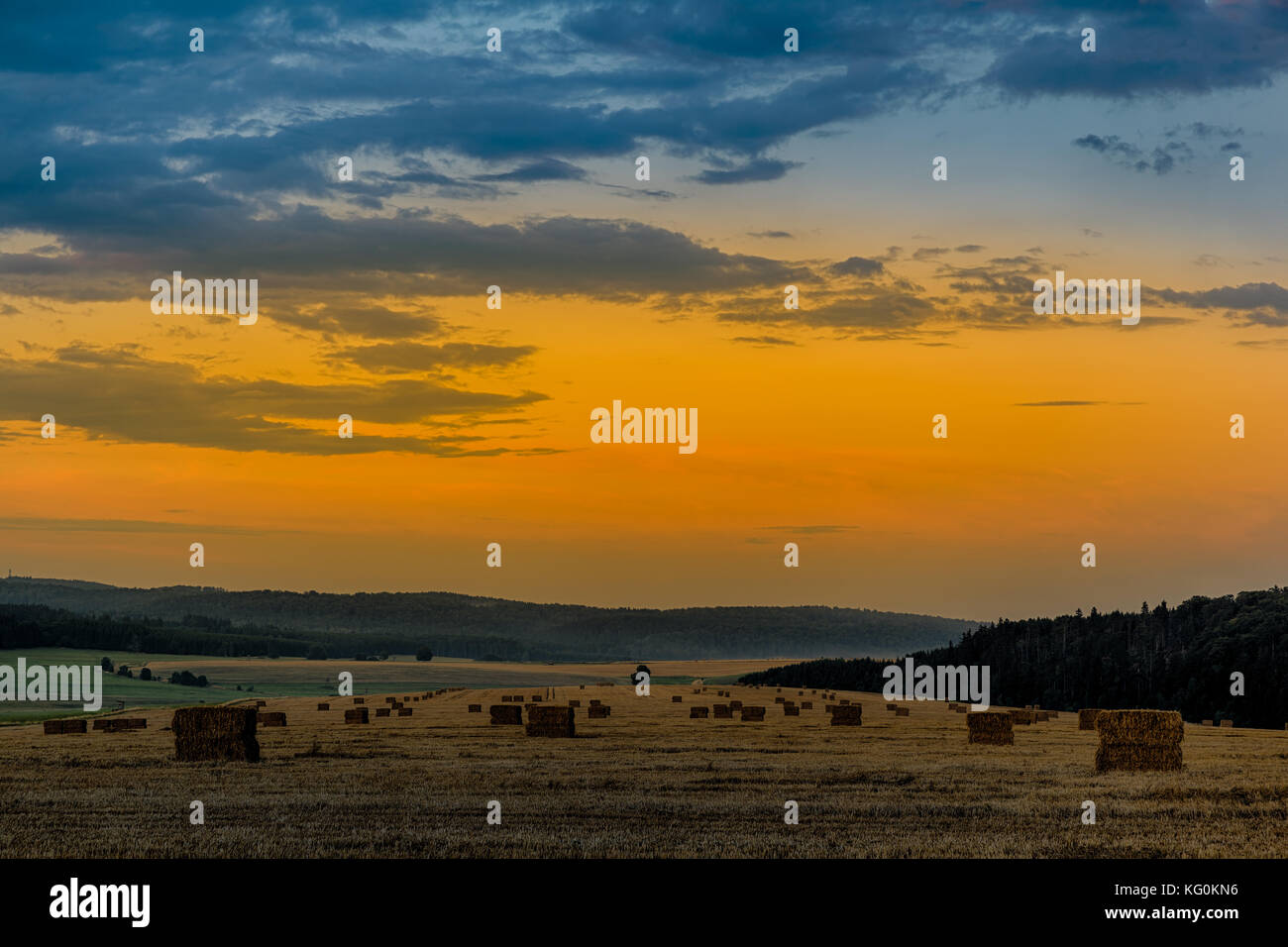 Feld mit Sonnenuntergang Stockfoto