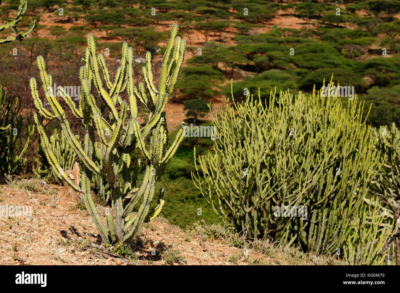 Berglandschaft in der Umgebung des South horr Dorf samburu Menschen in Kenia Stockfoto