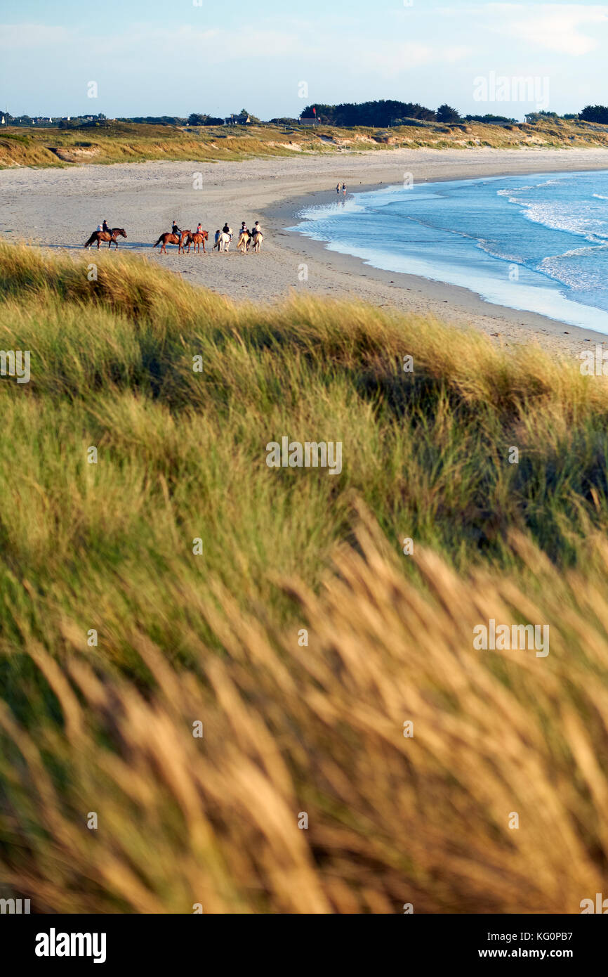 Reiten am Strand ein Finistère in der Bretagne in Frankreich. Stockfoto