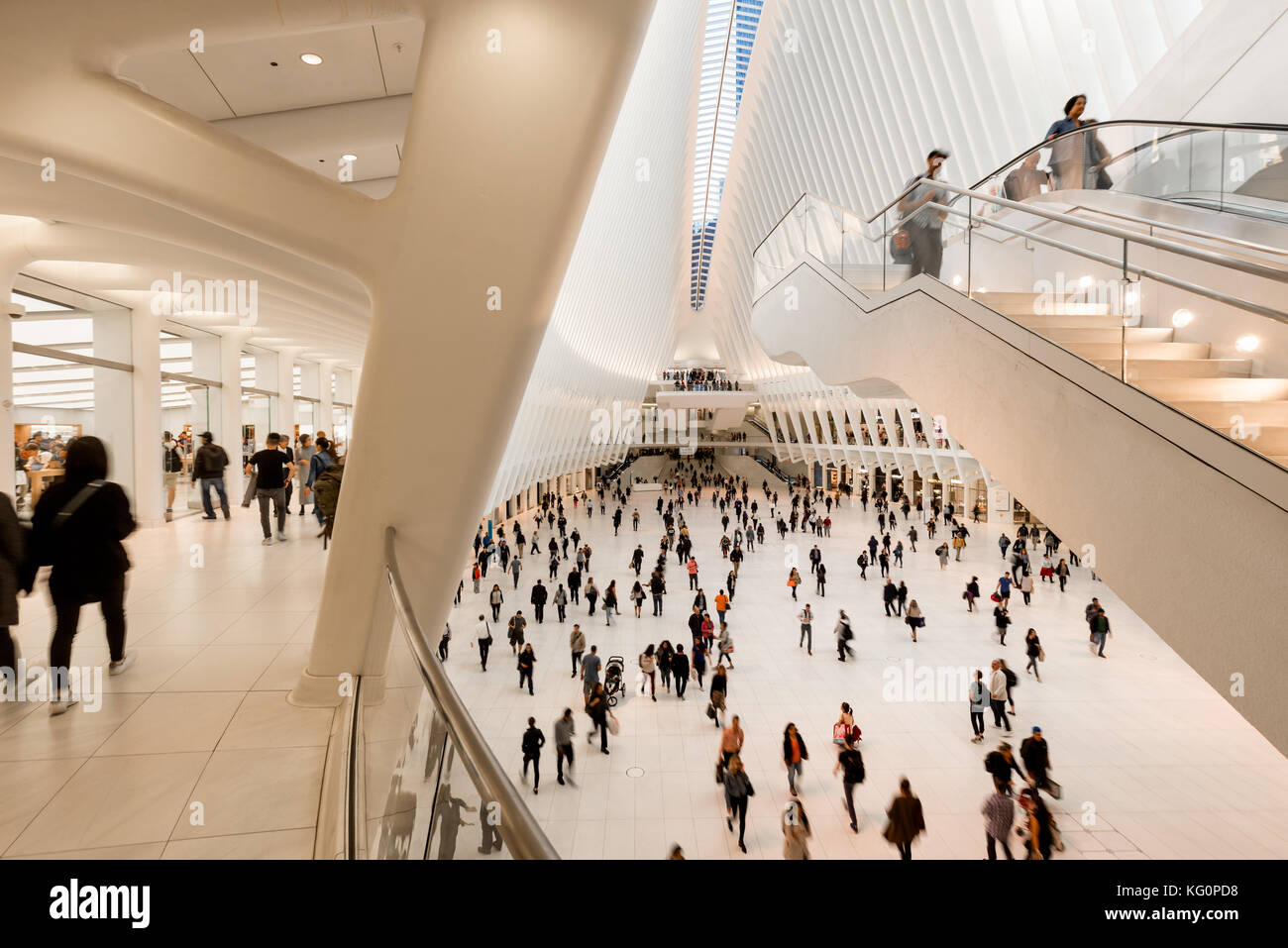 Innenansicht der Oculus, Westfield World Trade Center. Personennahverkehr Hub, der von Santiago Calatrava. Manhattan Financial District, New York Stockfoto