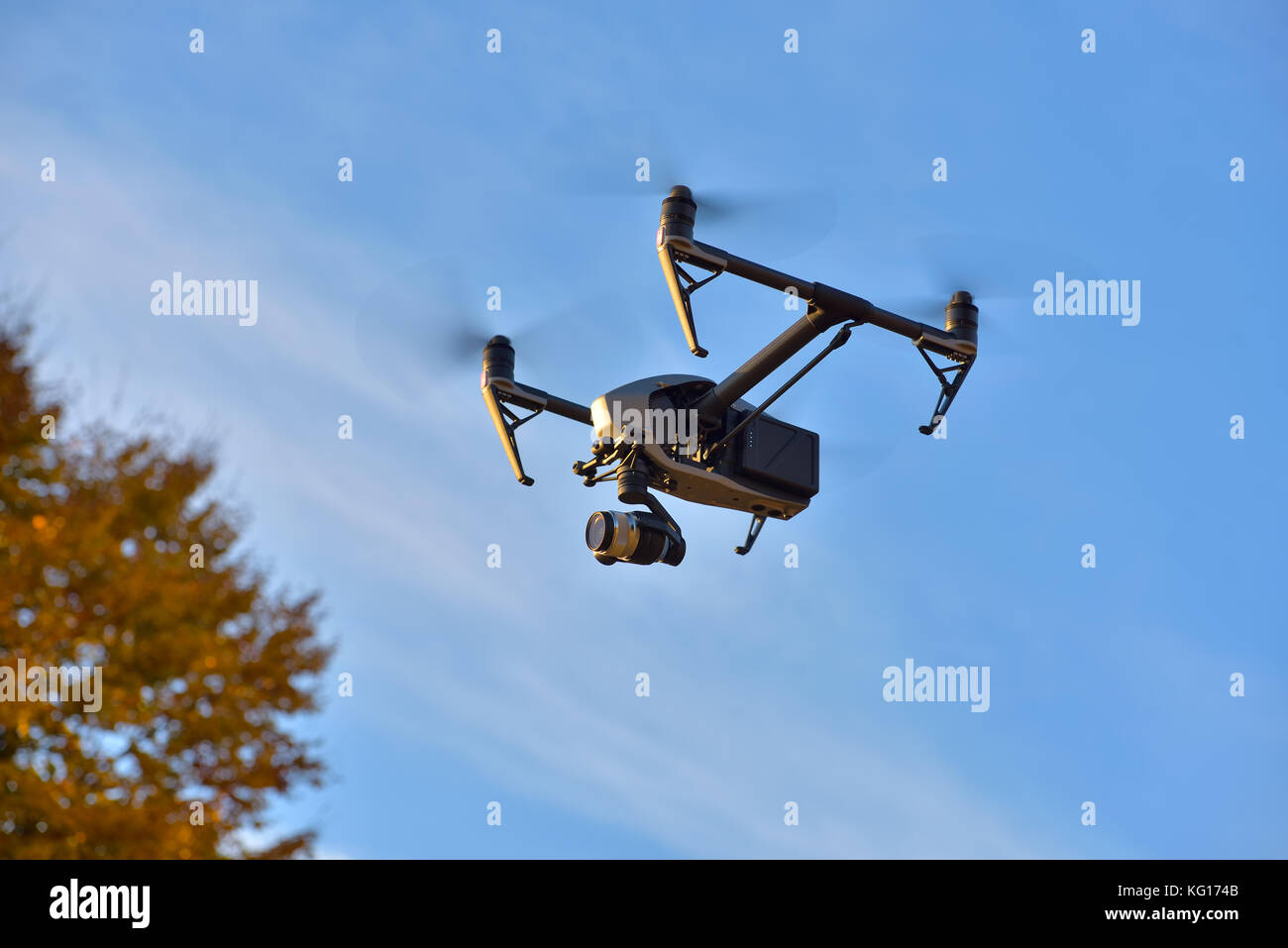 Fliegen große Brummen auf blauen Himmel Hintergrund Stockfoto